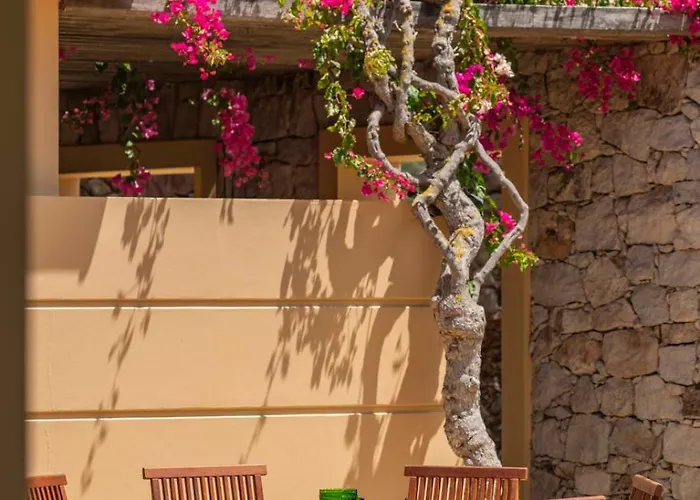 Casa vacanze Casa De By An Island Porto Santo